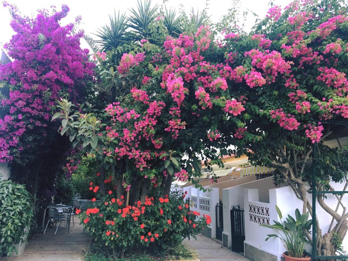 Hotel Antonio Conil Conil De La Frontera Exteriér fotografie